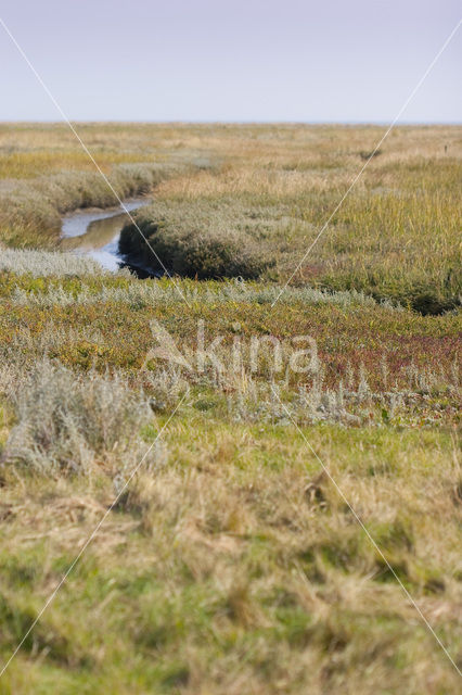 National Park Schiermonnikoog