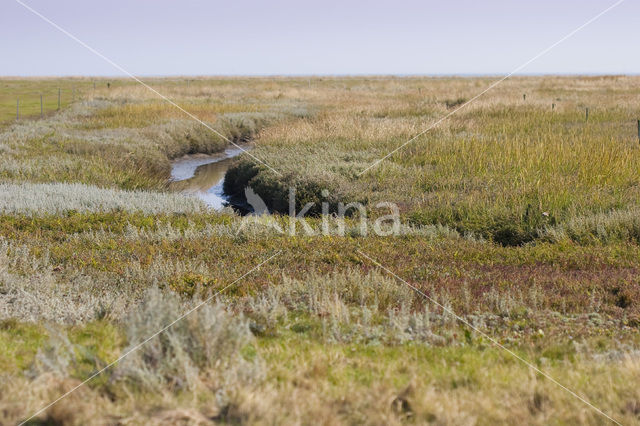 Nationaal park Schiermonnikoog