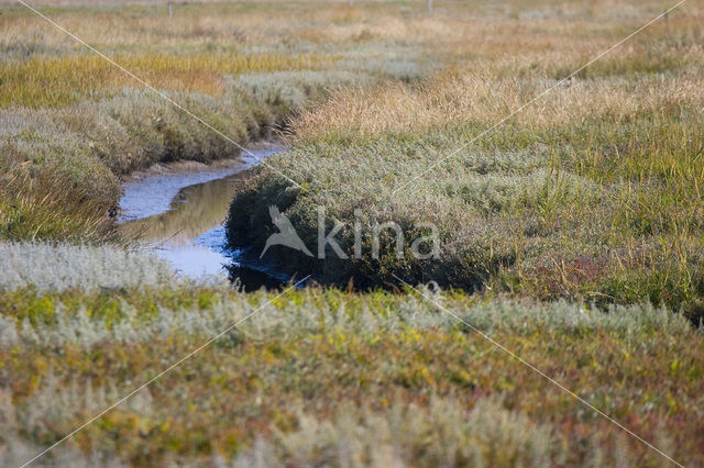 National Park Schiermonnikoog