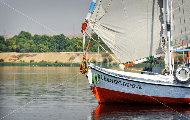 Nile
