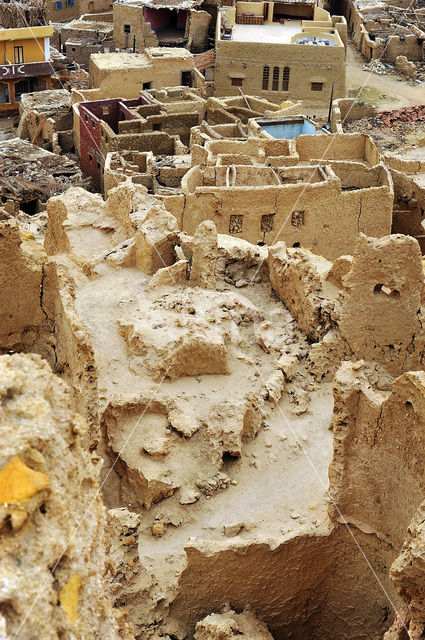 Siwa oase
