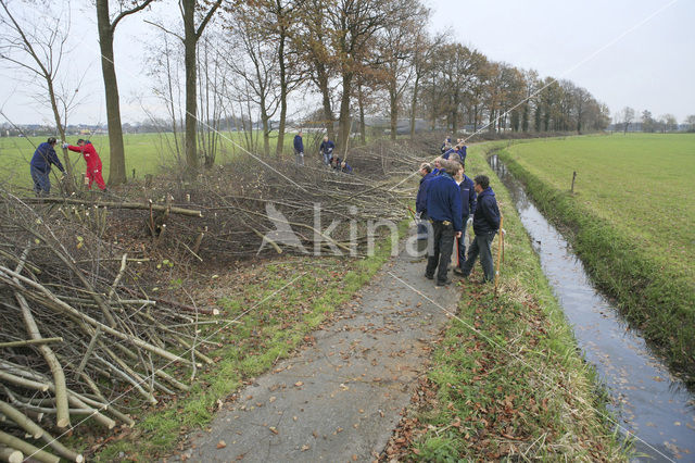 Veluwe