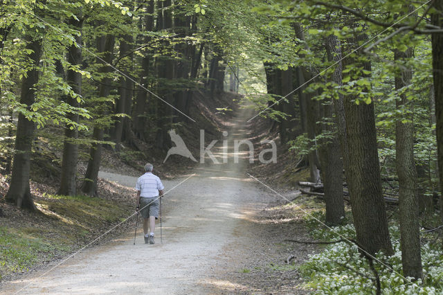 Veluwe