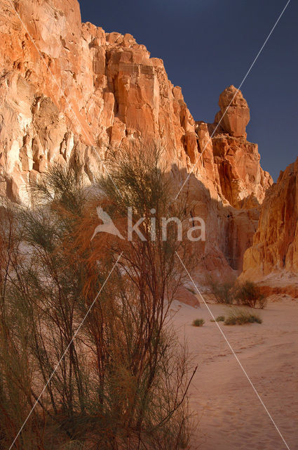 White Canyon