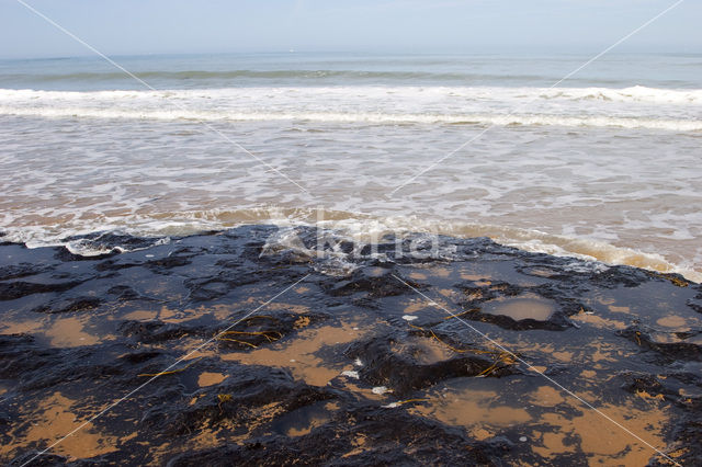 Atlantic Ocean
