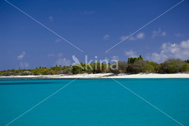 Bikini Island