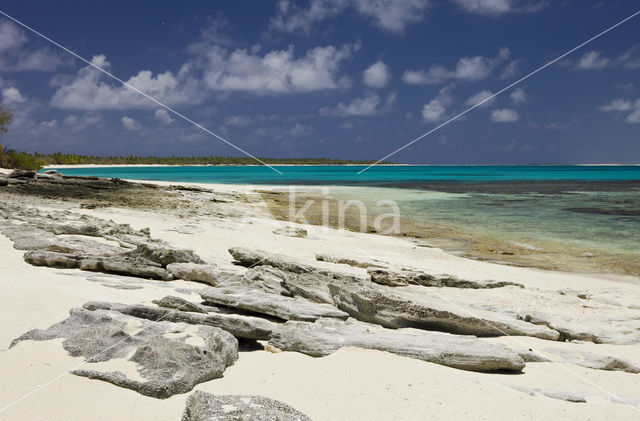 Bikini Island