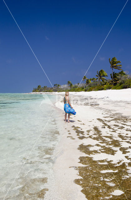 Bikini Island