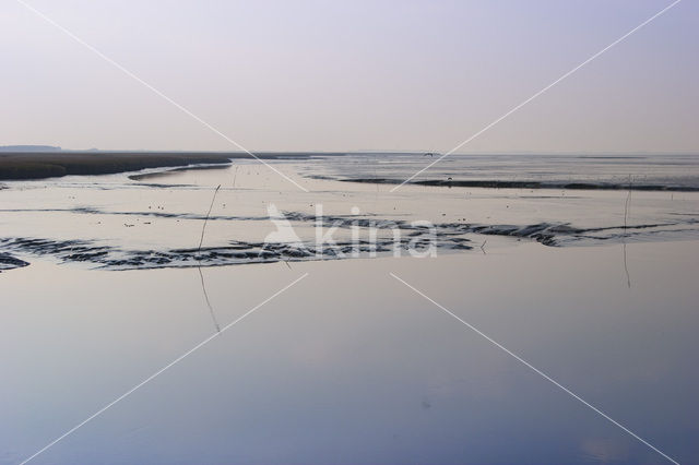 Dollard