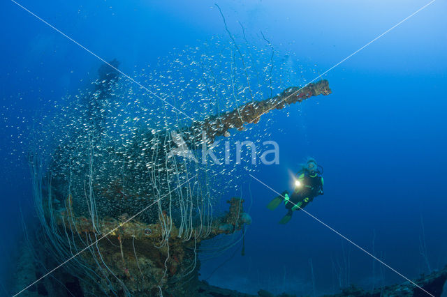 Pacific Ocean