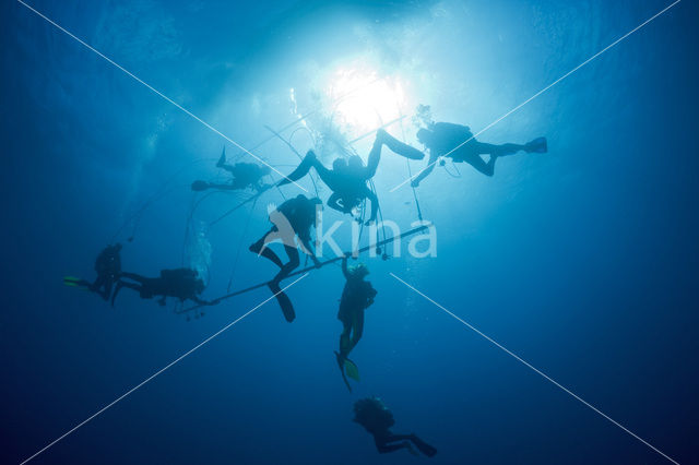 Pacific Ocean