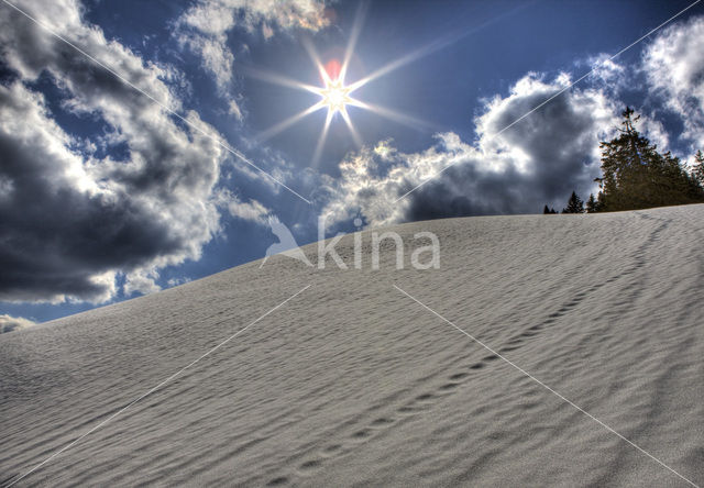Karwendel Mountains