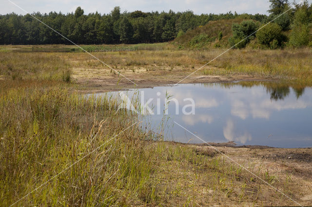 Nationaal Park Dwingelderveld