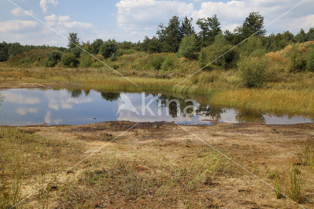 Nationaal Park Dwingelderveld