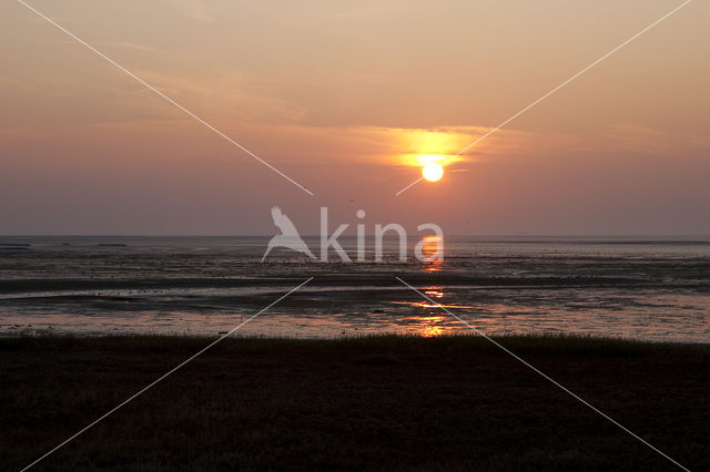National Park Schiermonnikoog
