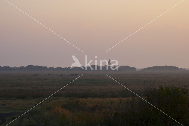 Nationaal park Schiermonnikoog