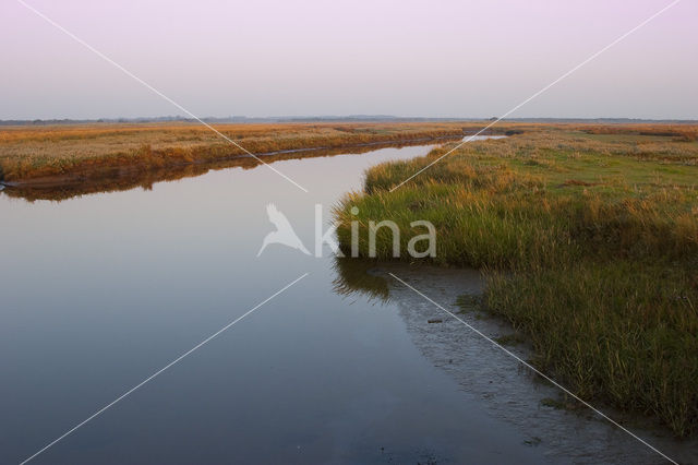 National Park Schiermonnikoog