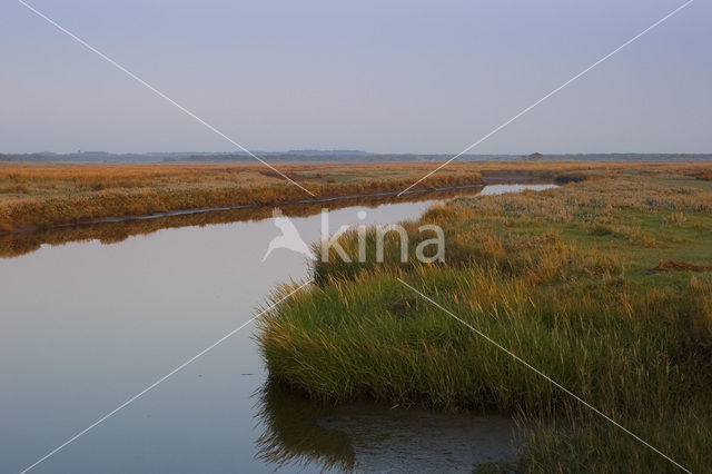 National Park Schiermonnikoog