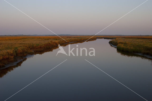 National Park Schiermonnikoog