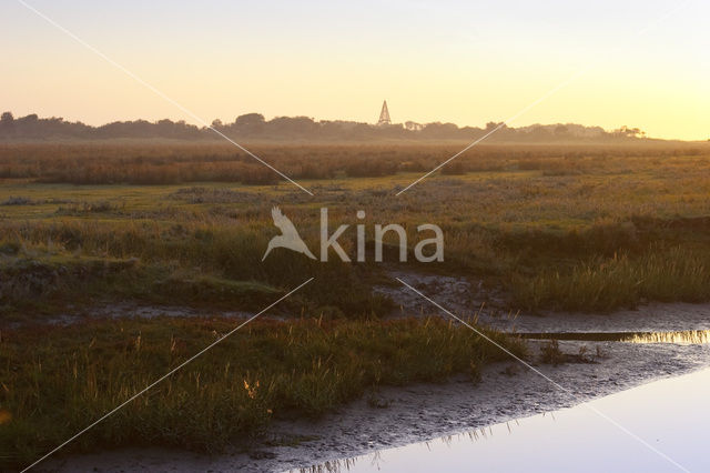 National Park Schiermonnikoog