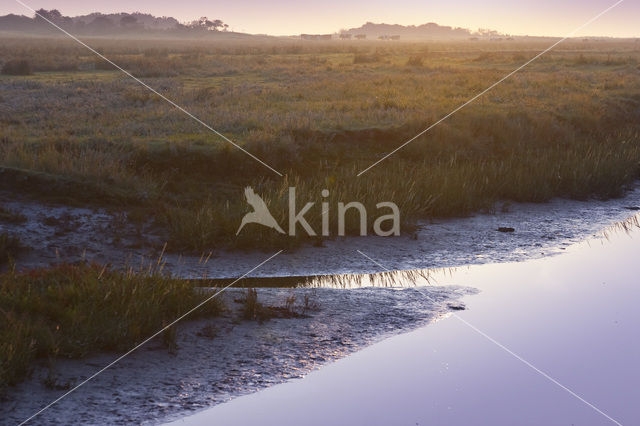 National Park Schiermonnikoog