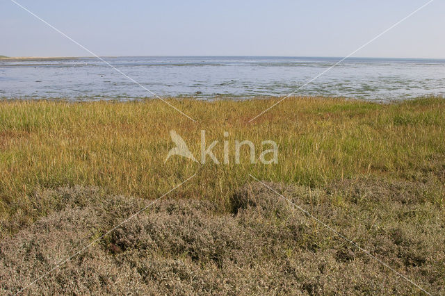 National Park Schiermonnikoog