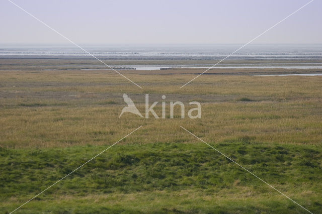 Waddenzee