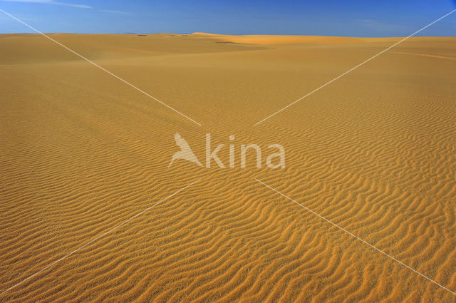 White Desert National Park