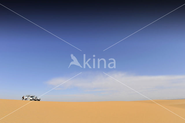 Witte Woestijn