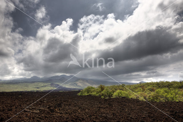 Ahihi-Kinau Natural Preserve
