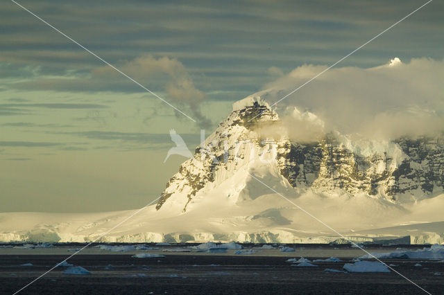 Antarctic Peninsula