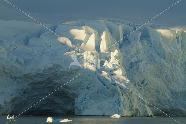 Antarctic Peninsula