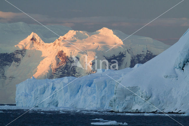 Antarctic Peninsula