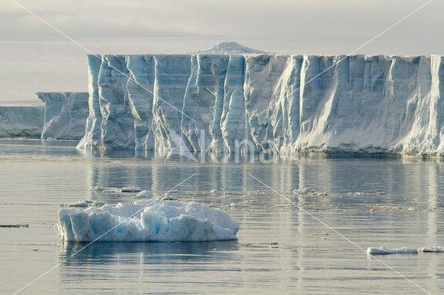 Antarctic Peninsula