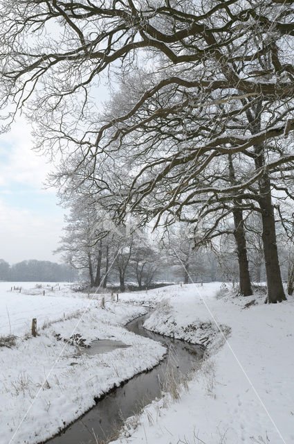 Eerderachterbroek