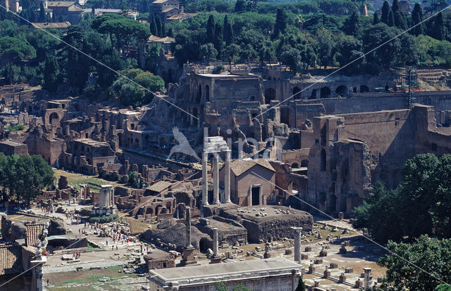 Forum Romanum