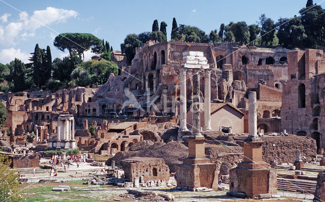 Forum Romanum