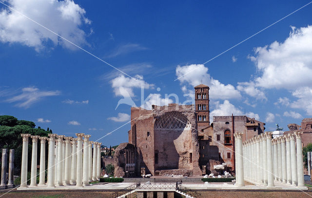 Forum Romanum