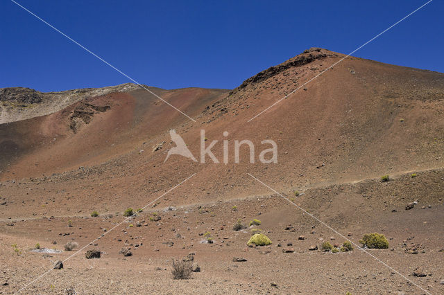 Haleakala National Park