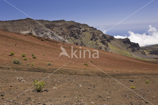 Haleakala National Park