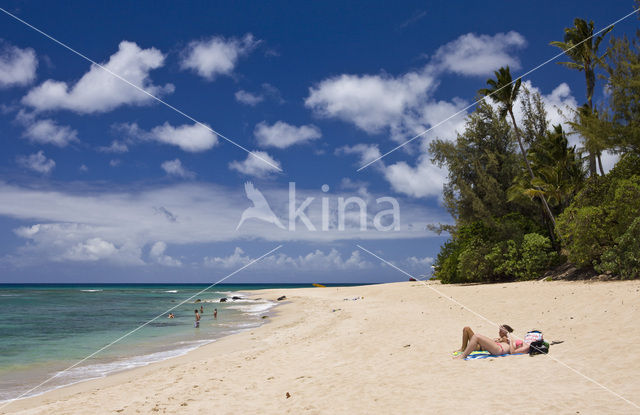 Haleiwa Beach Park