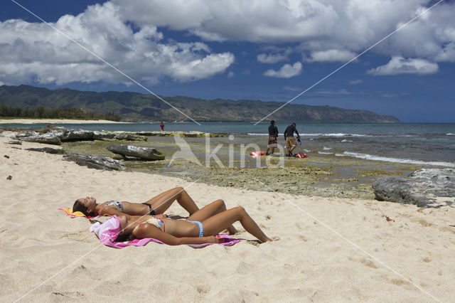 Haleiwa Beach Park