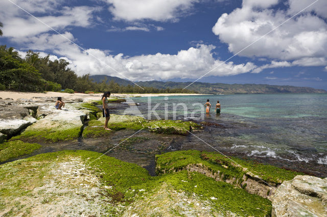 Haleiwa Beach Park