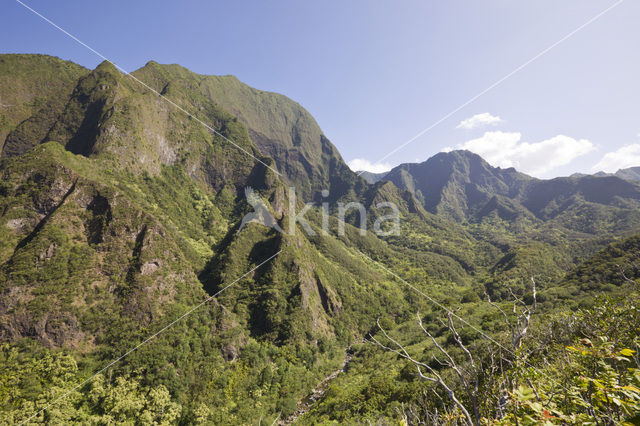 Iao Valley