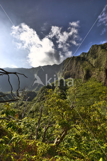 Iao Valley