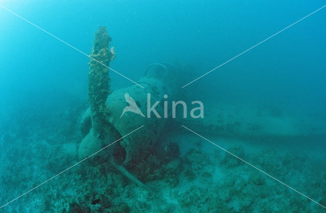 Kavieng