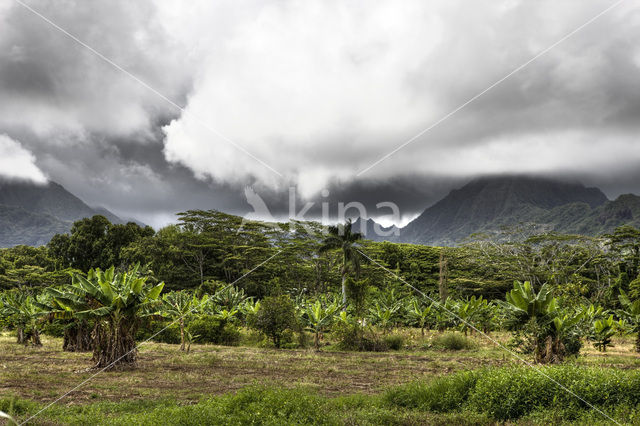 Kualoa Ranch