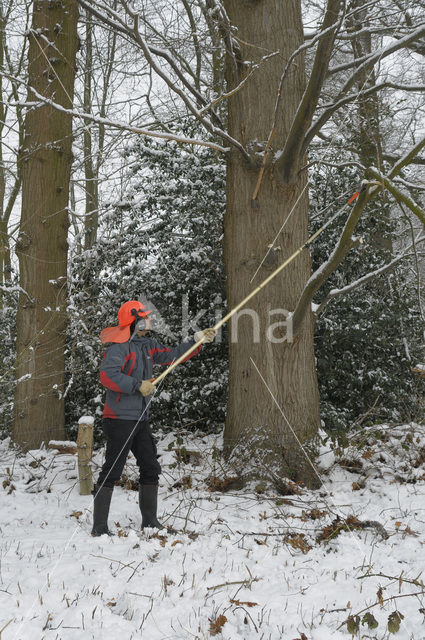 Landgoed De Colckhof