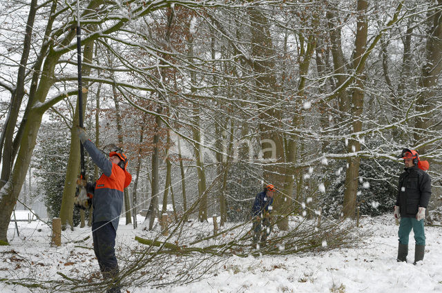 Landgoed De Colckhof