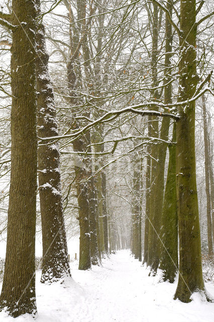 Landgoed De Colckhof